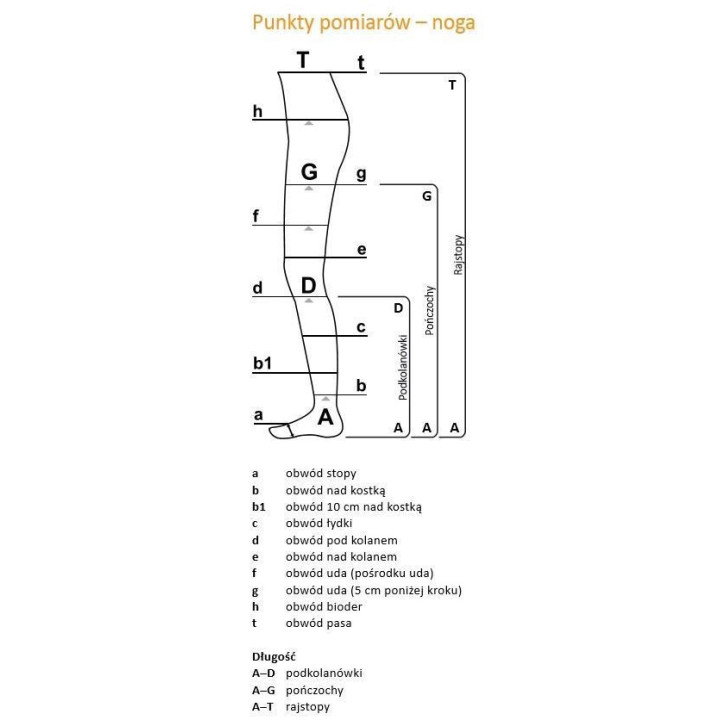 Aries Avicenum Phlebo 140 Cienkie Rajstopy CCL1 Klin Przednio-Tylny